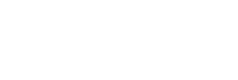 aDoddle's logo