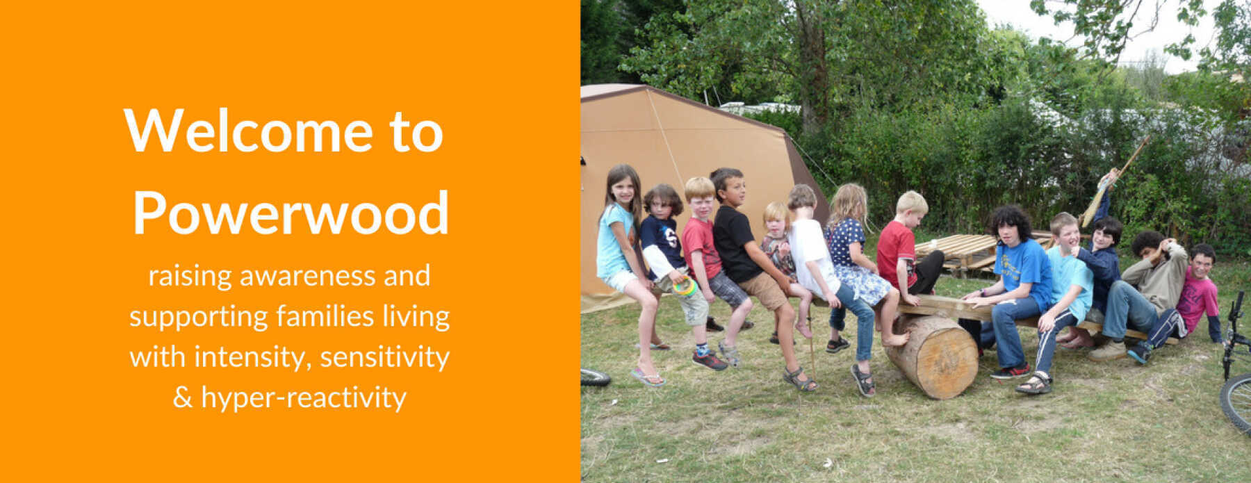 Featured Image for PowerWood project CIC