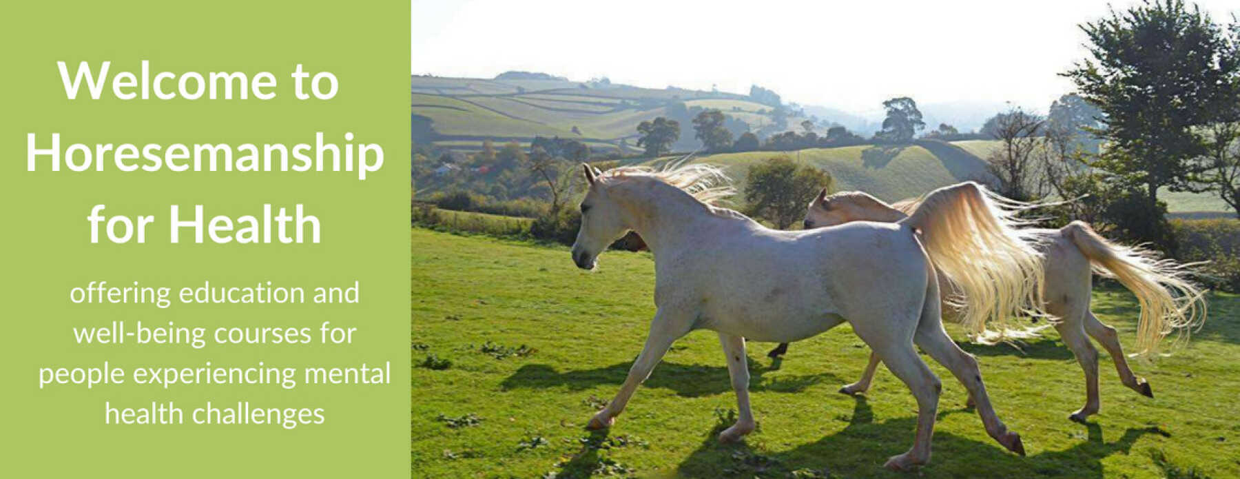 Featured Image for Horsemanship for Health UK