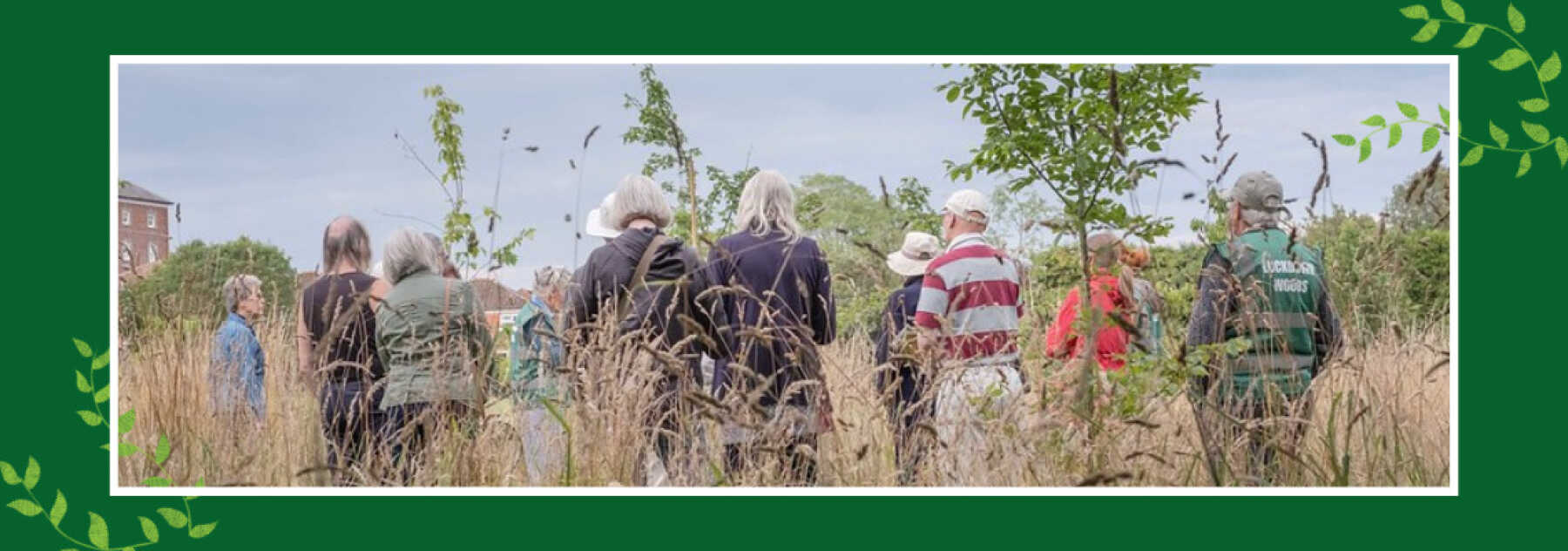 Featured Image for Newbury Friends of the Earth Lockdown Woods