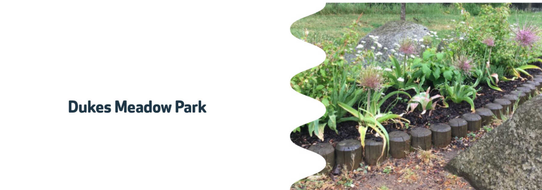 Featured Image for Duke Meadow's Trust