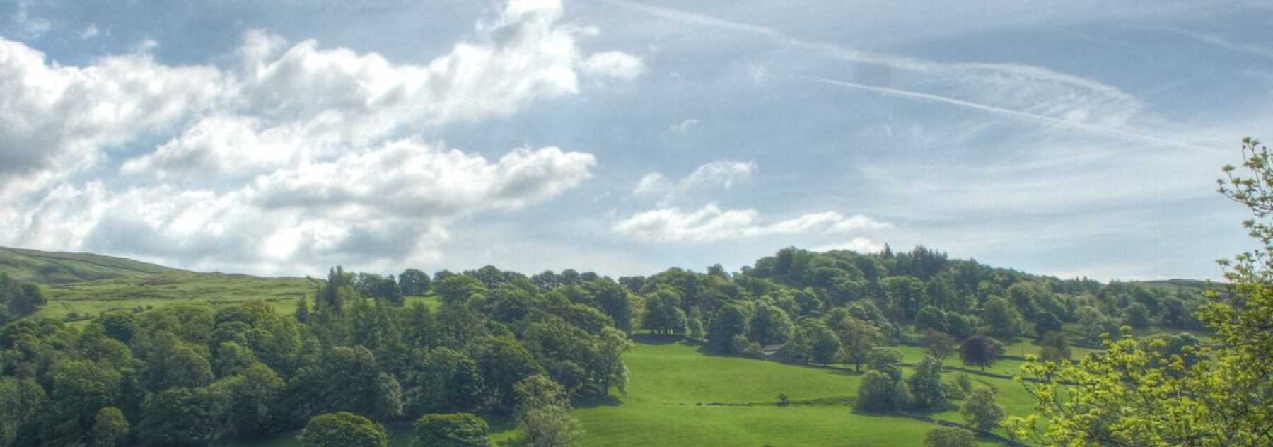 Featured Image for Co-Dependents Anonymous UK
