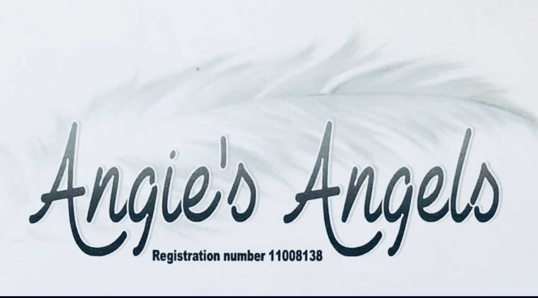Featured Image for Angie's Angels "First Things First "Recovery project